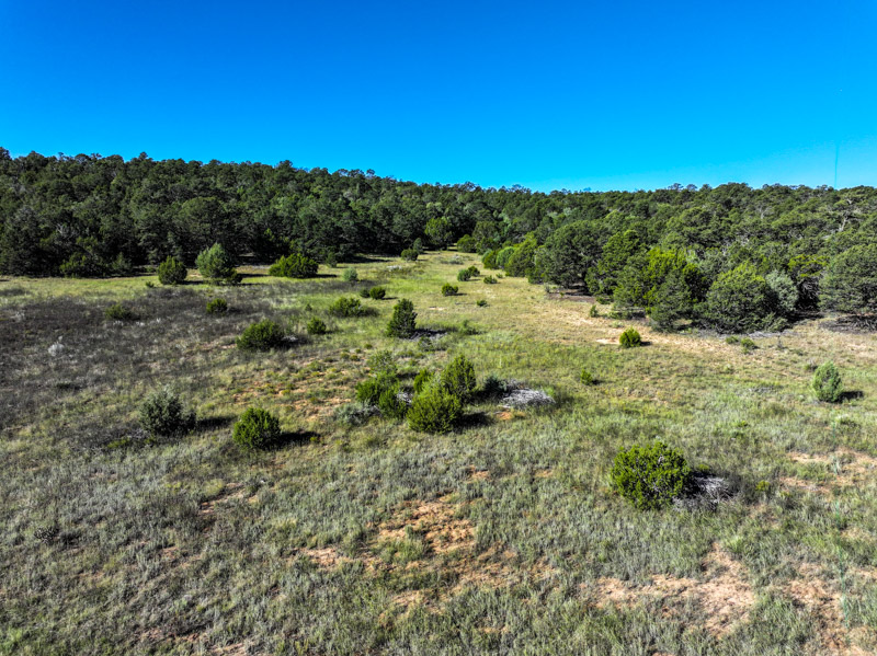 Sundance Mountain Ranch - Image 5