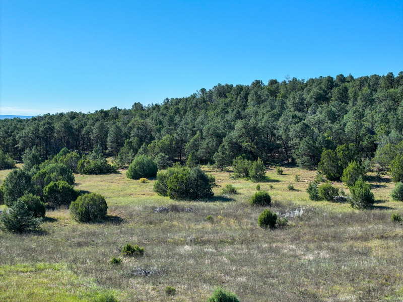 Sundance Mountain Ranch - Image 4