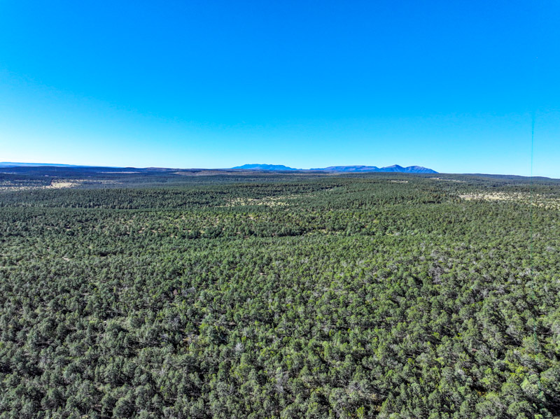 Sundance Mountain Ranch - Image 7