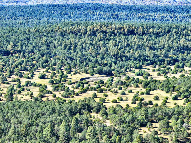 Sundance Mountain Ranch - Image 9