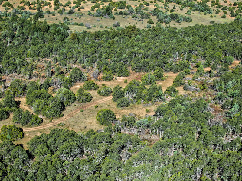 Sundance Mountain Ranch - Image 13