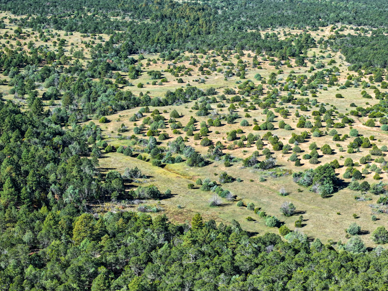 Sundance Mountain Ranch - Image 15