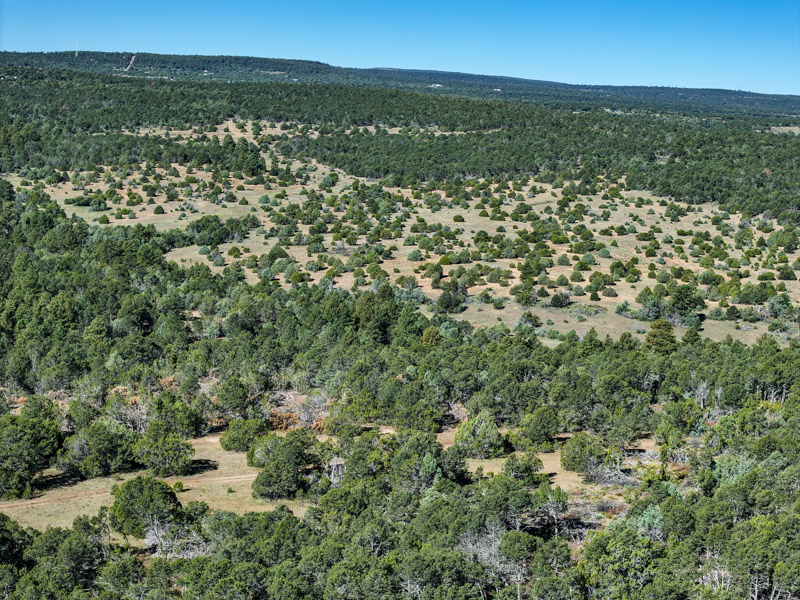 Sundance Mountain Ranch - Image 18