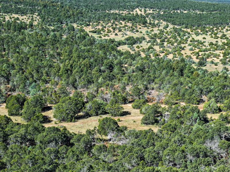 Sundance Mountain Ranch - Image 20
