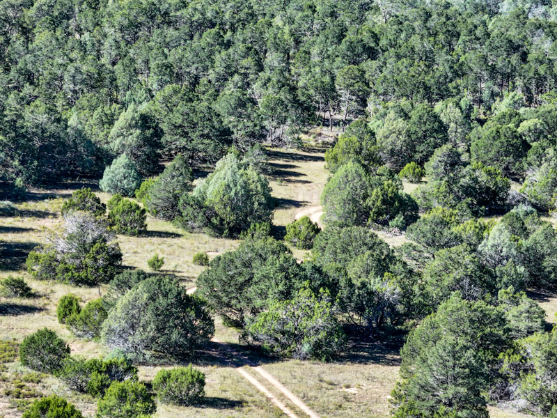 Sundance Mountain Ranch - Image 21