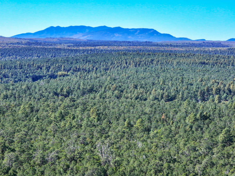 Sundance Mountain Ranch - Image 22