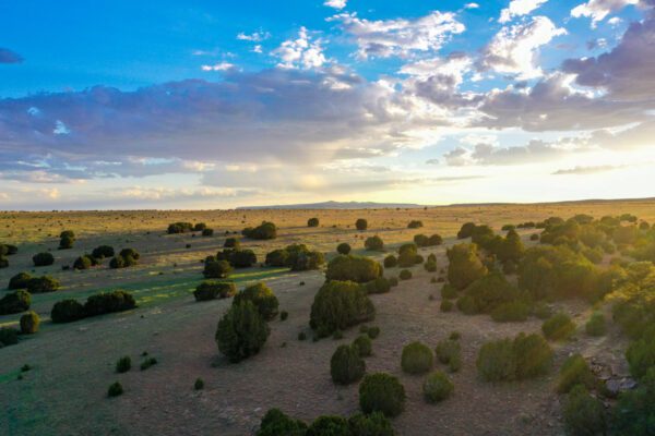 Mills Canyon Ranch - Image 6