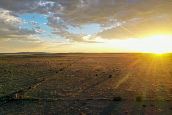 Mills Canyon Ranch - Image 11