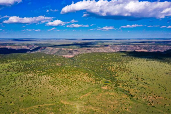 Mills Canyon Ranch - Image 15