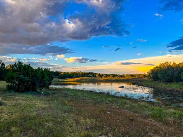 Mills Canyon Ranch - Image 17