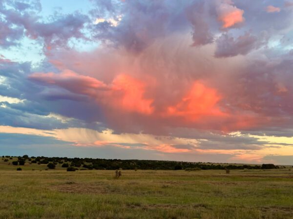Mills Canyon Ranch - Image 20
