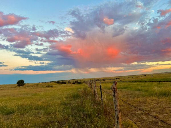 Mills Canyon Ranch - Image 21